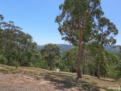 36 Monda Parade, Healesville - Thumbnail 6