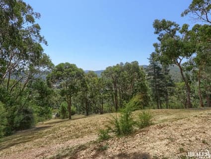 36 Monda Parade, Healesville - Thumbnail 7