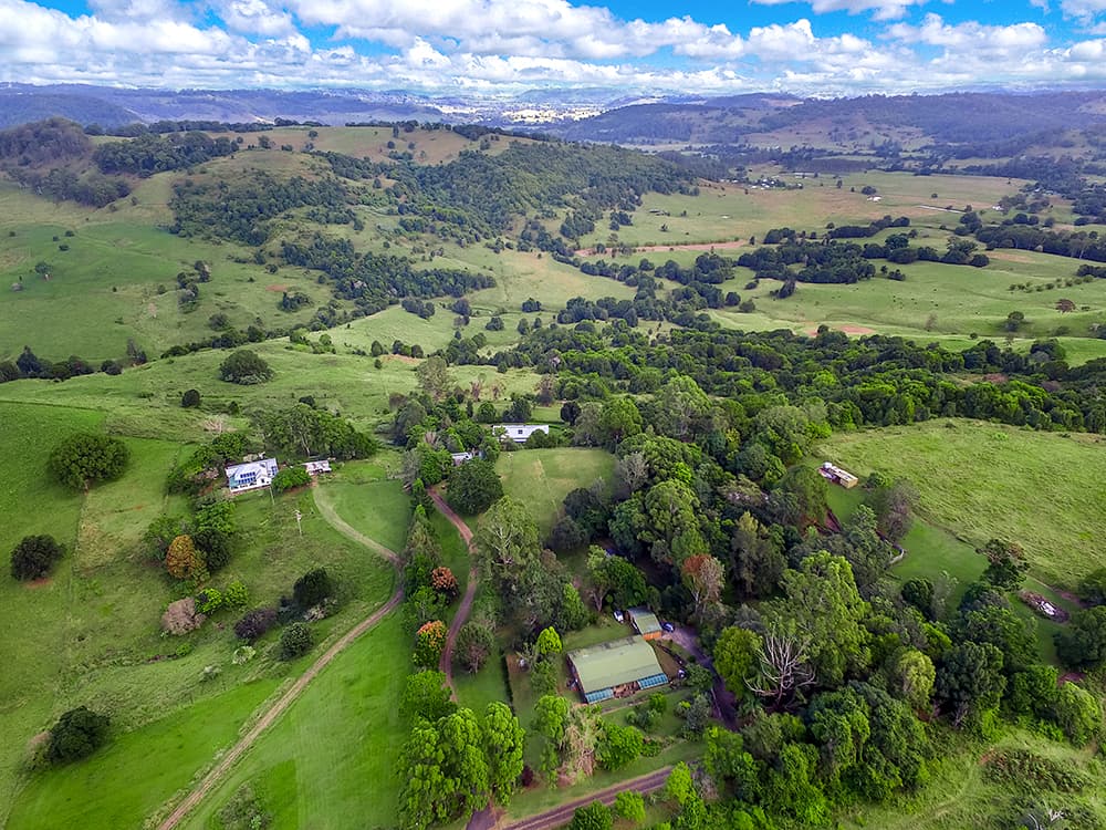 131 Currie Road, The Channon, NSW, 2480, The Channon - Thumbnail 4