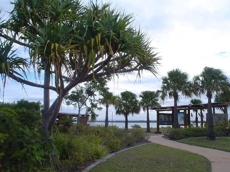 42 Kakadu Circuit, Banksia Beach, QLD, 4507, Banksia Beach - Thumbnail 5