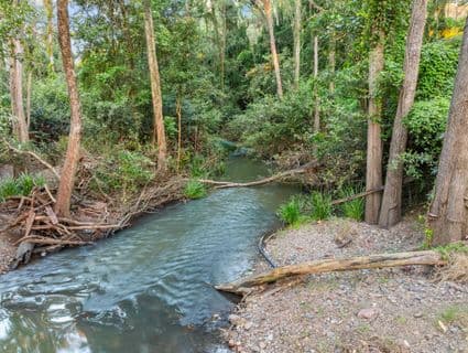 1207 Kandanga Creek Road, Upper Kandanga - Image 1