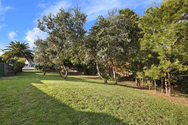 1 Hilma Street, Collaroy Plateau, Collaroy Plateau - Thumbnail 4