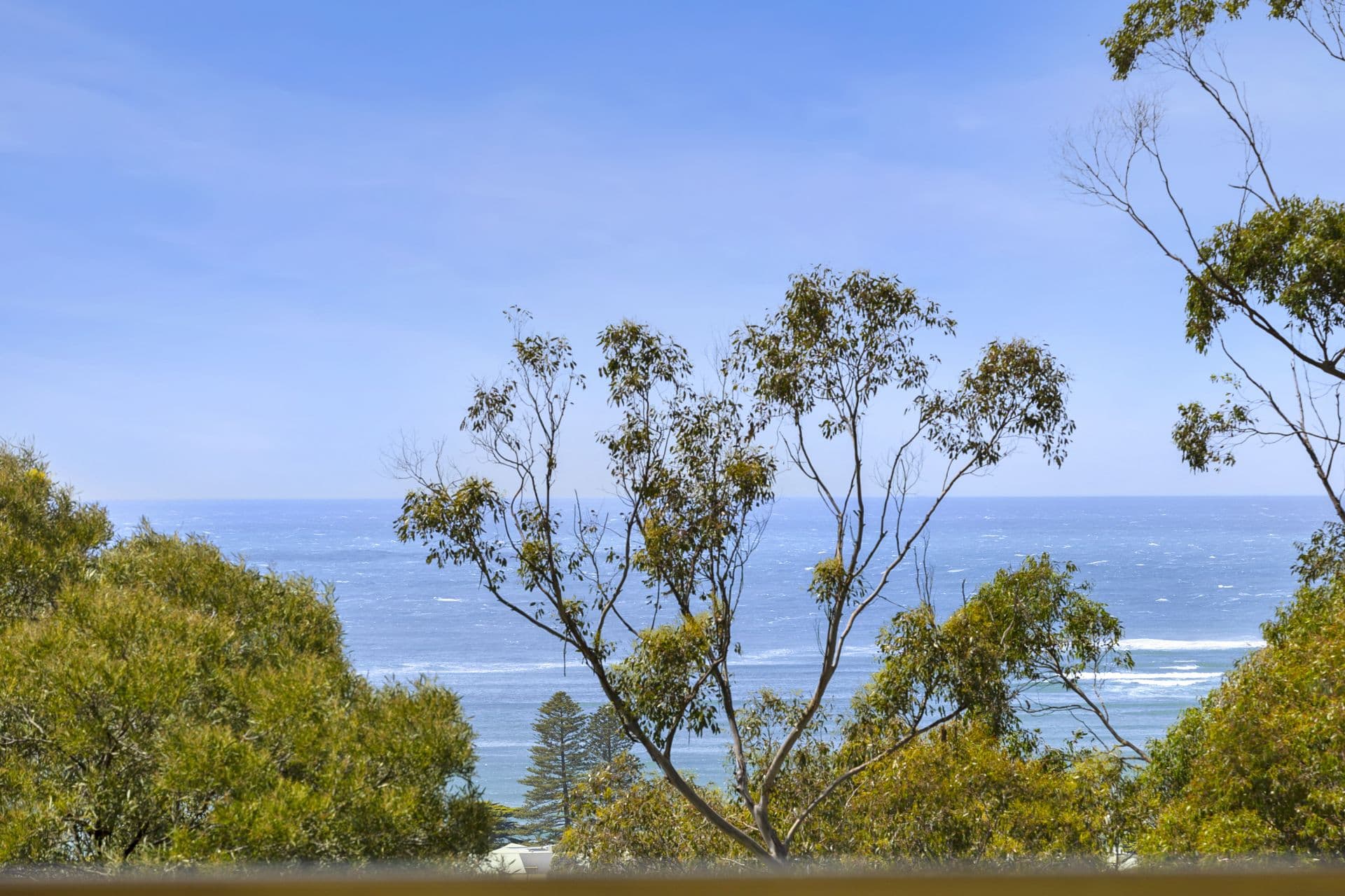 48 Richardson Boulevard, Lorne - Thumbnail 5