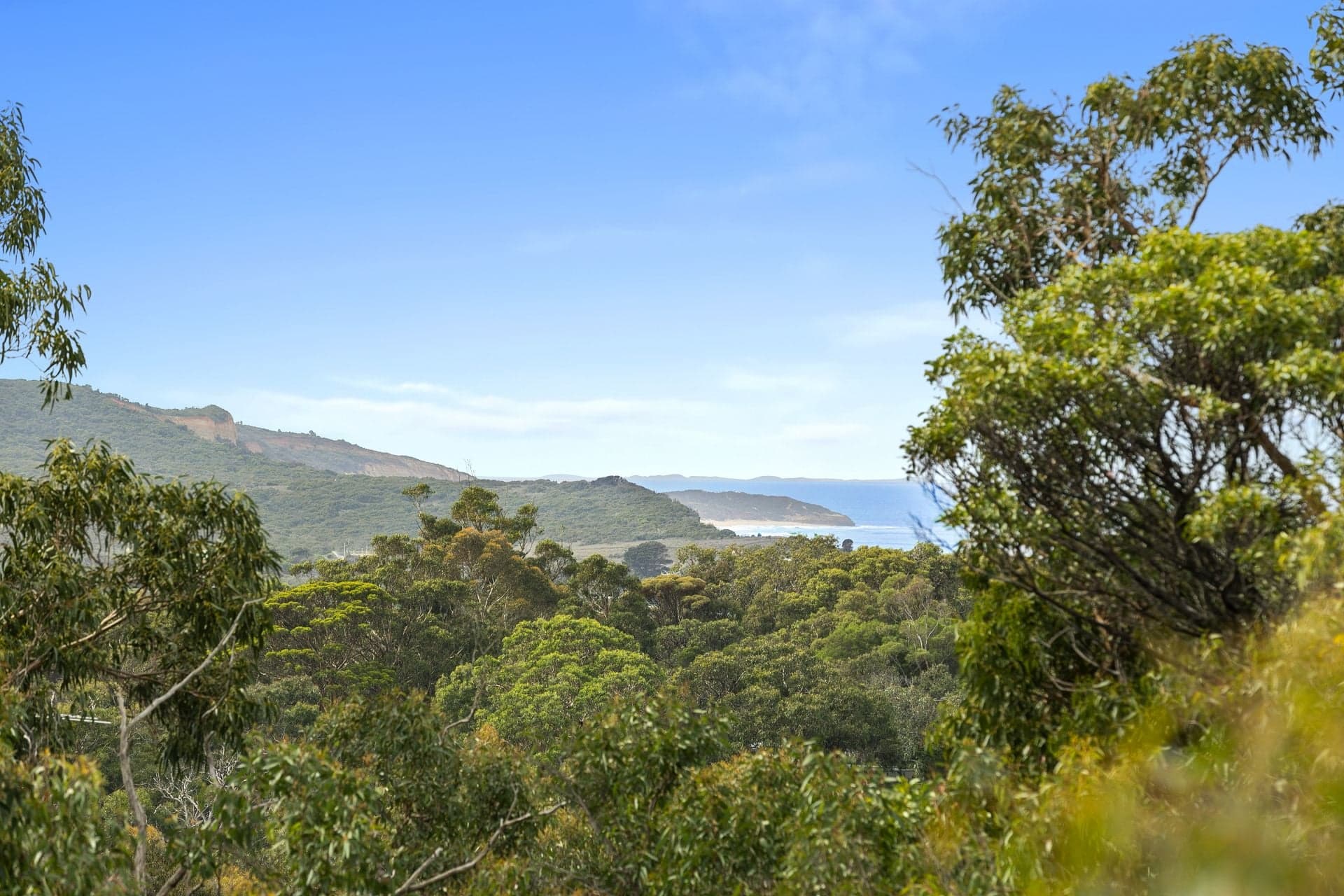39 Belton Street, Anglesea - Thumbnail 4