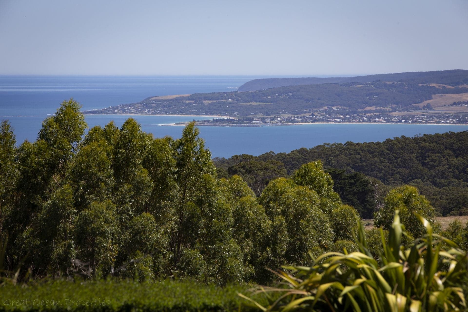 25 Kenneadys Road, Wongarra - Thumbnail 3