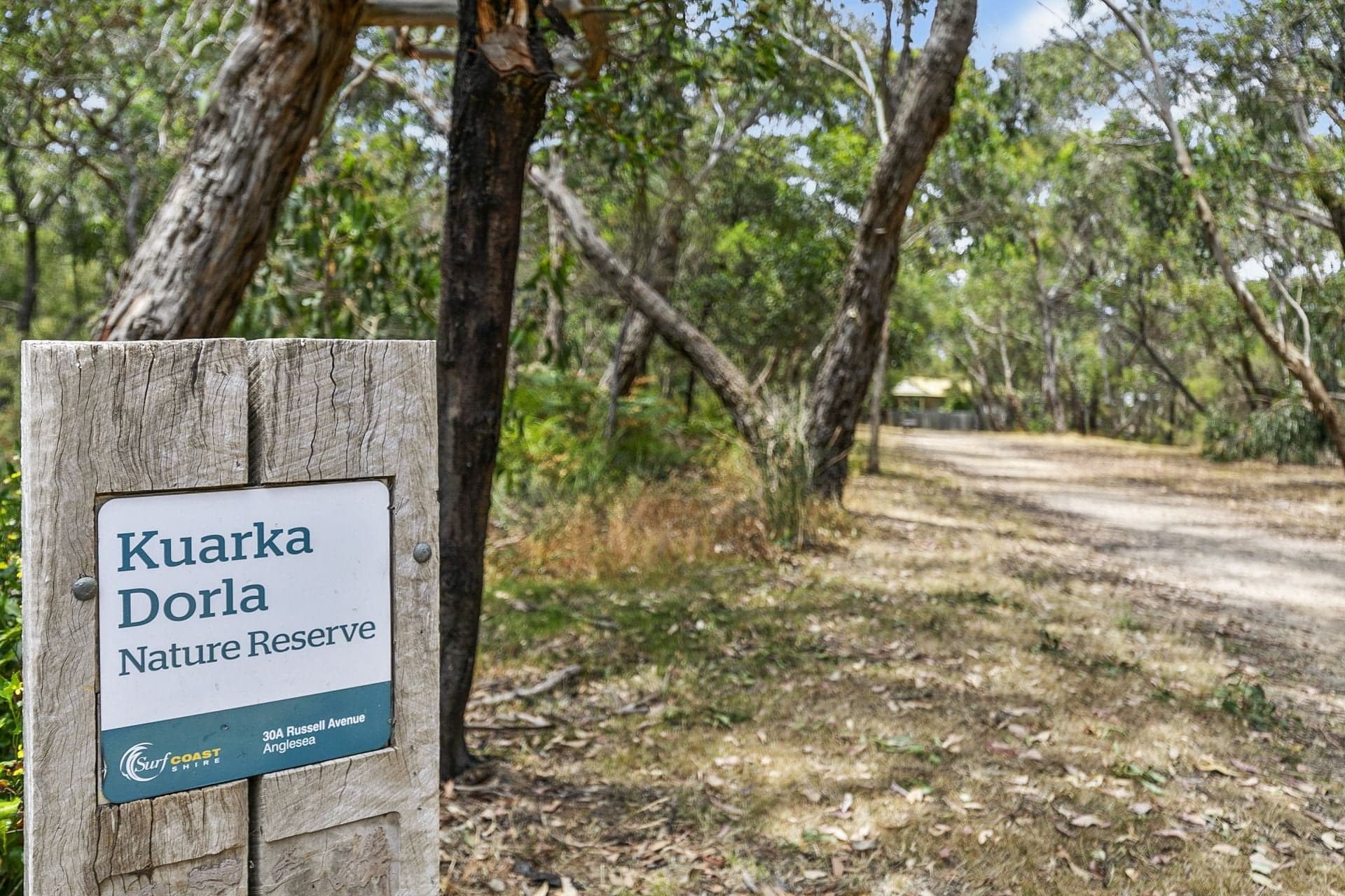 31 Russell Avenue, Anglesea - Image 1