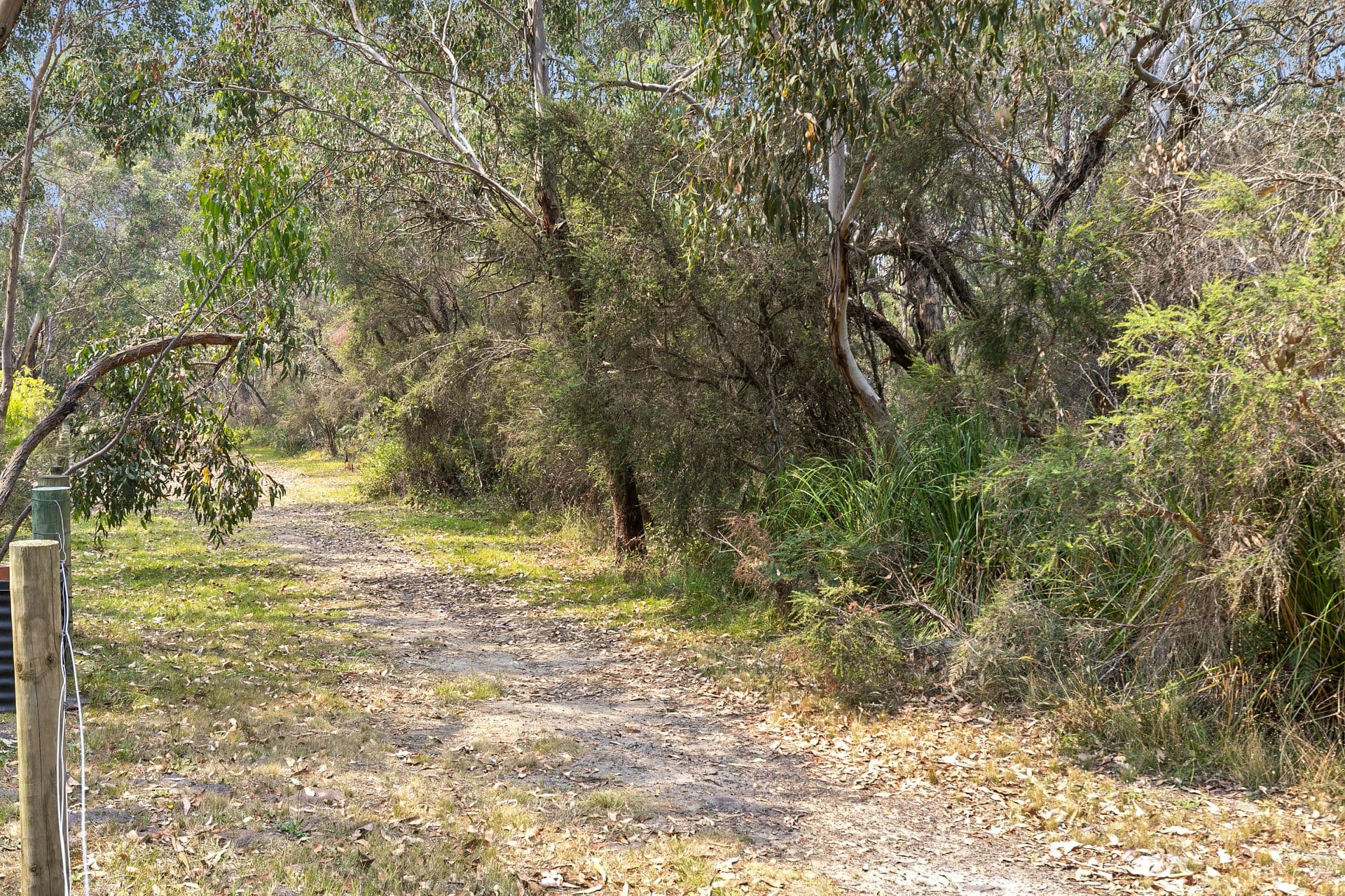 18 Chatswood Drive, Anglesea - Thumbnail 4
