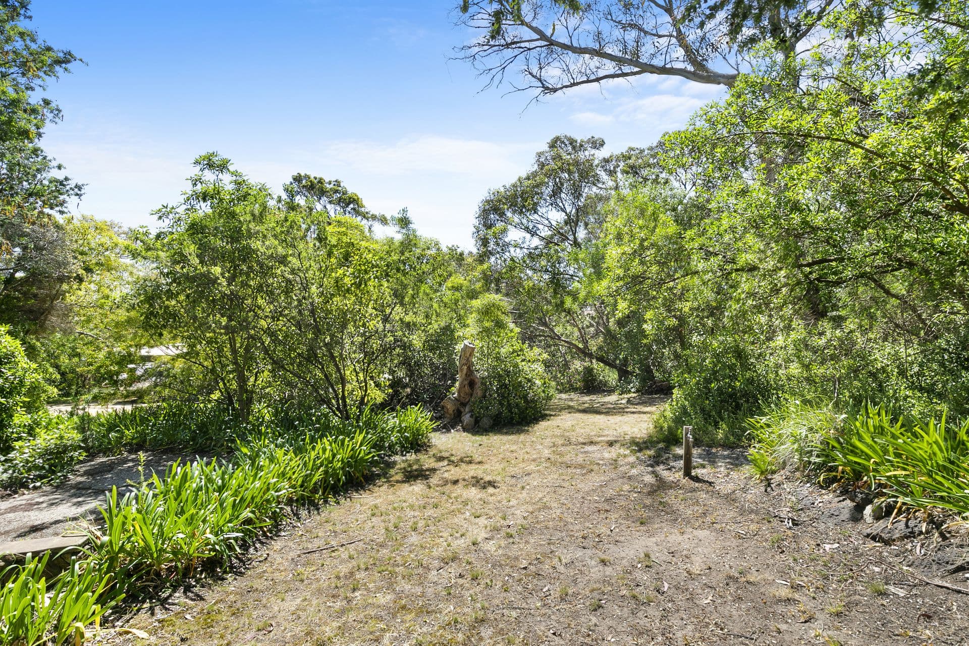 13 Peter Avenue, Anglesea - Thumbnail 3