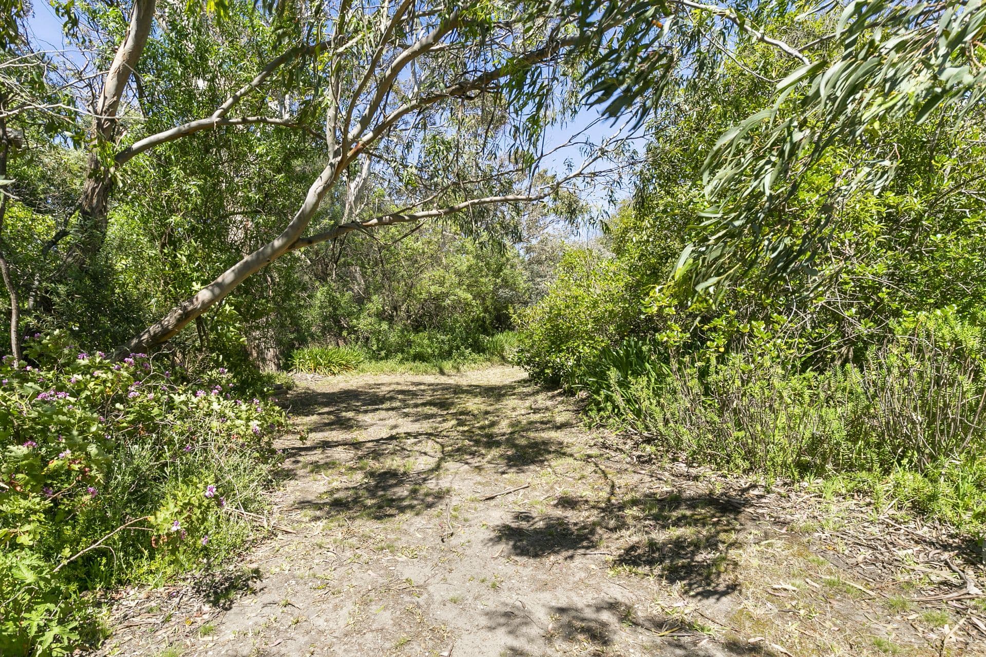 13 Peter Avenue, Anglesea - Thumbnail 5