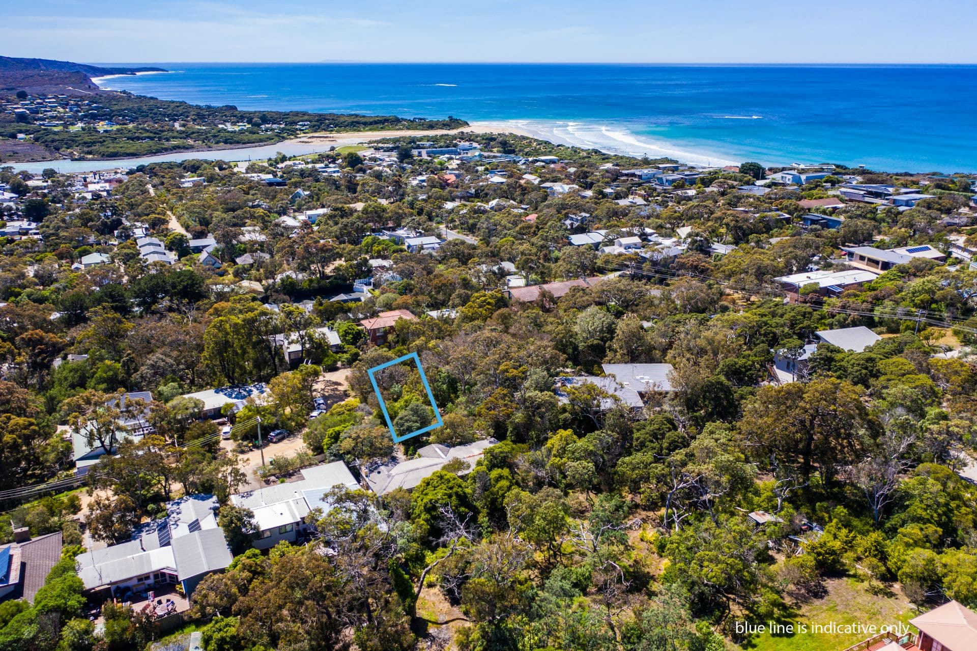 13 Peter Avenue, Anglesea - Thumbnail 6