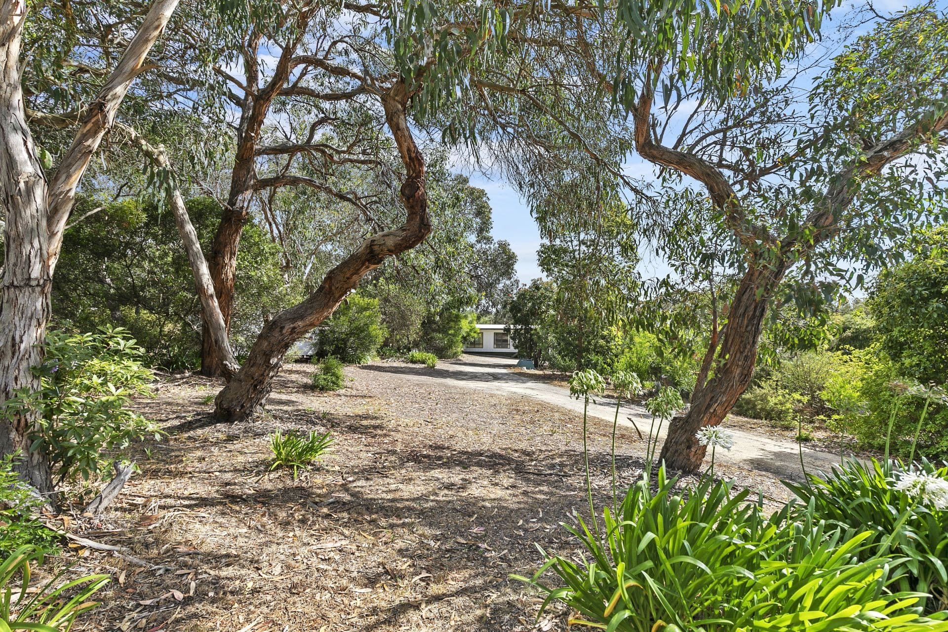 3 Birkdale Close, Anglesea - Thumbnail 2