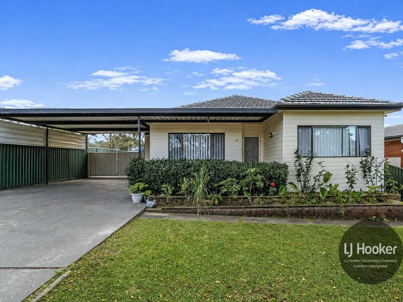 45 Edna Avenue, Merrylands, Merrylands - Image 1