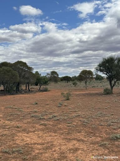 27 Singleton Drive, COBAR, NSW 2835, Cobar - Image 1