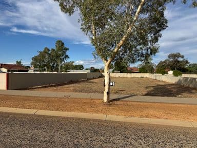 11 Greenslade Street, MUKINBUDIN, WA 6479, Mukinbudin - Image 1