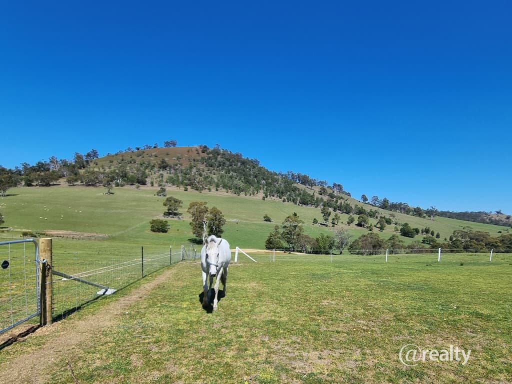 628 Fingerpost Road, Orielton, TAS, 7172, Orielton - Thumbnail 5