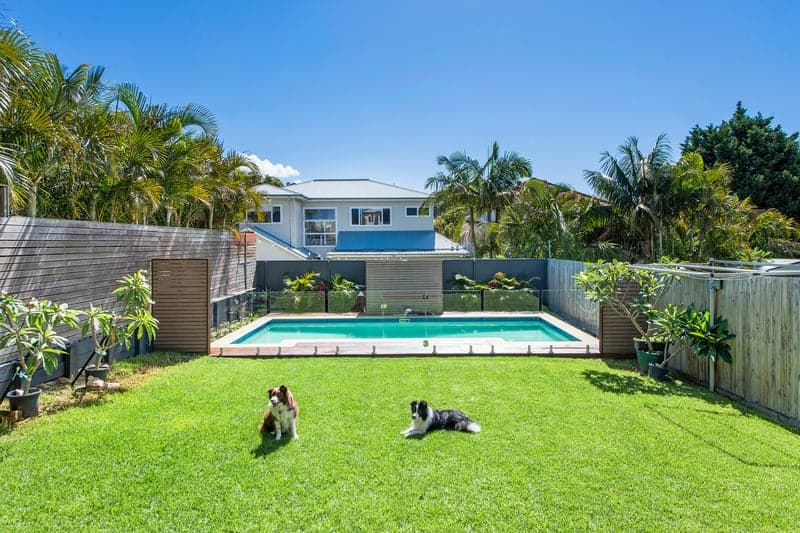 27 Wilson Street, Freshwater - Thumbnail 5