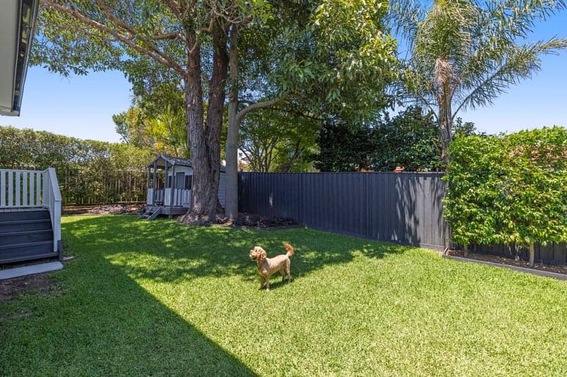 13 Valley View Road, Frenchs Forest - Thumbnail 5