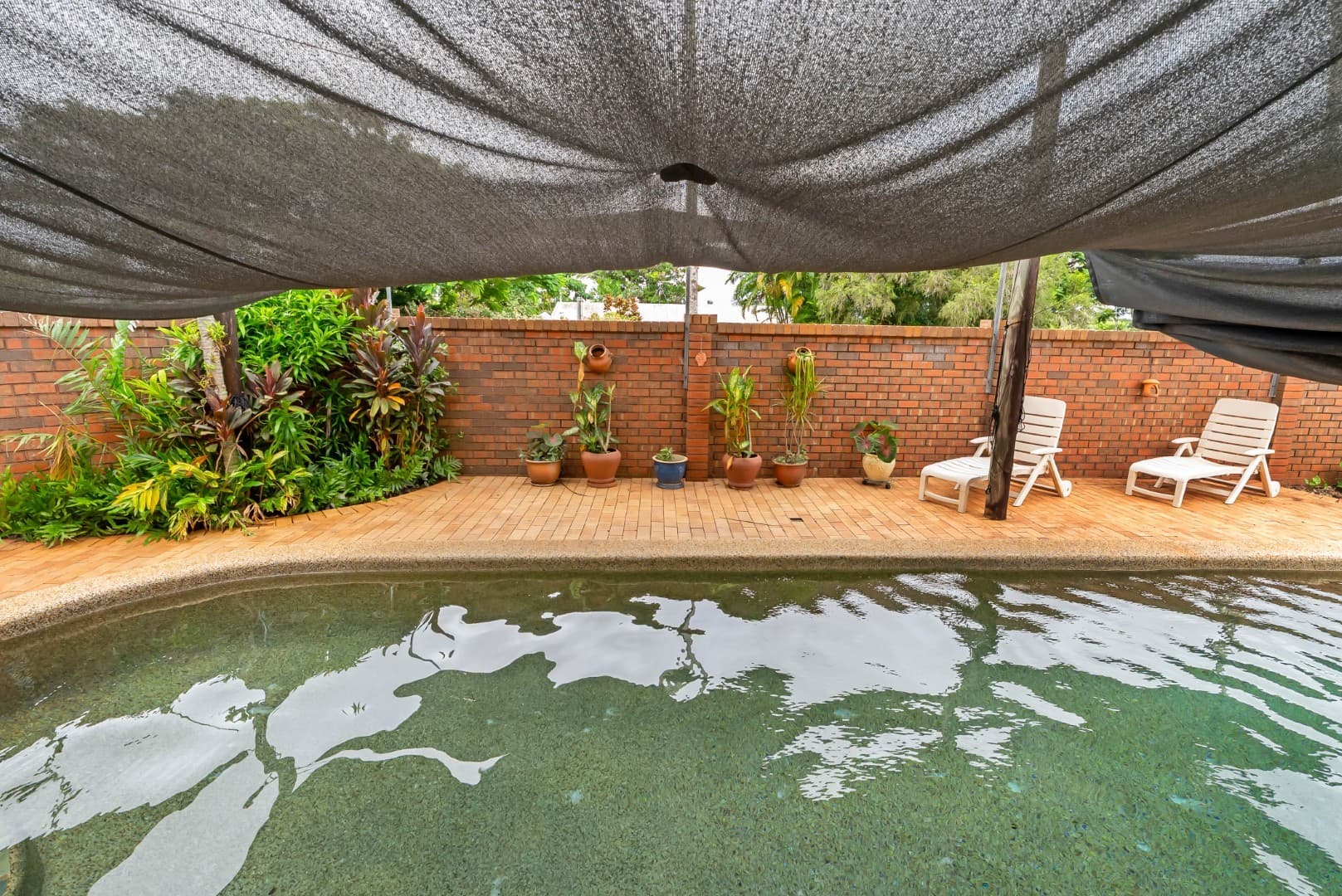 59 Carnation Drive, Mooroobool, Mooroobool - Thumbnail 5