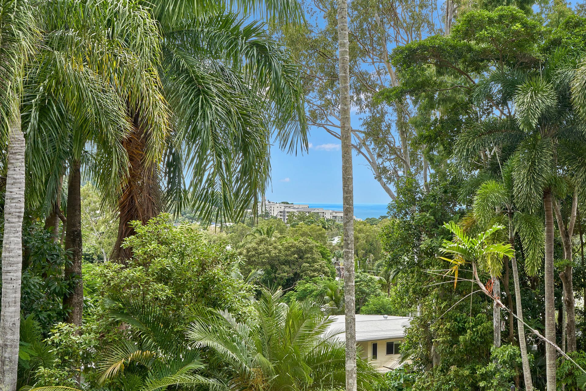 7 Moresby Street, Trinity Beach, Trinity Beach - Thumbnail 6