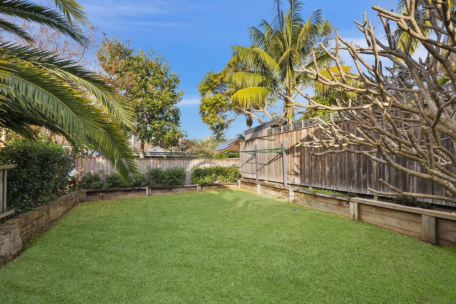 12 Waratah Street, Balgowlah, Balgowlah - Thumbnail 4