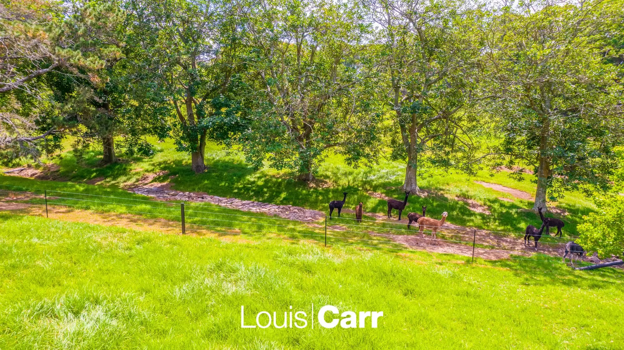 3 Wayfield Road, Glenhaven NSW, Glenhaven - Thumbnail 6
