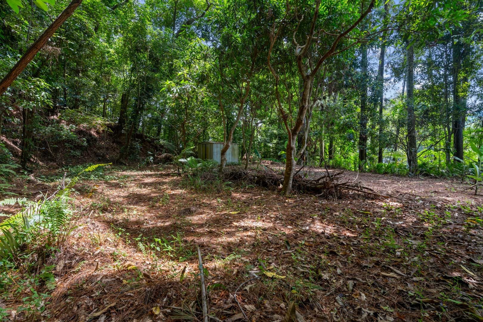 28 Maree Street, Freshwater, Freshwater - Thumbnail 8