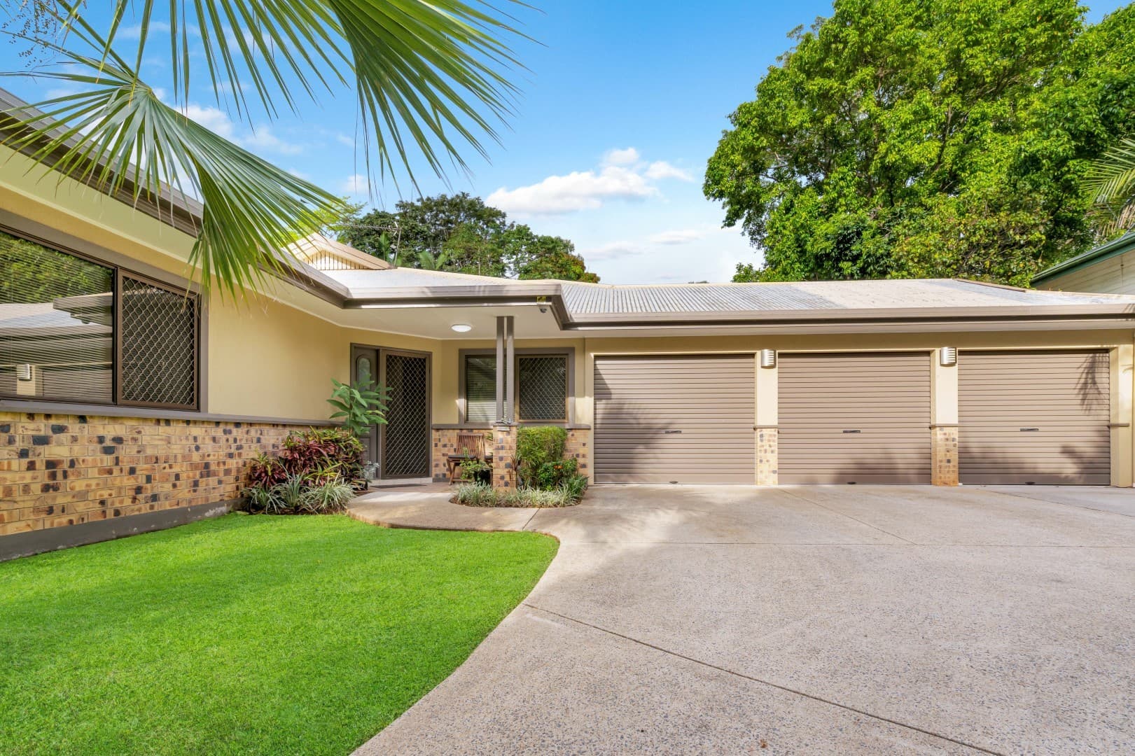 38 Benn Street, Brinsmead, Brinsmead - Image 1