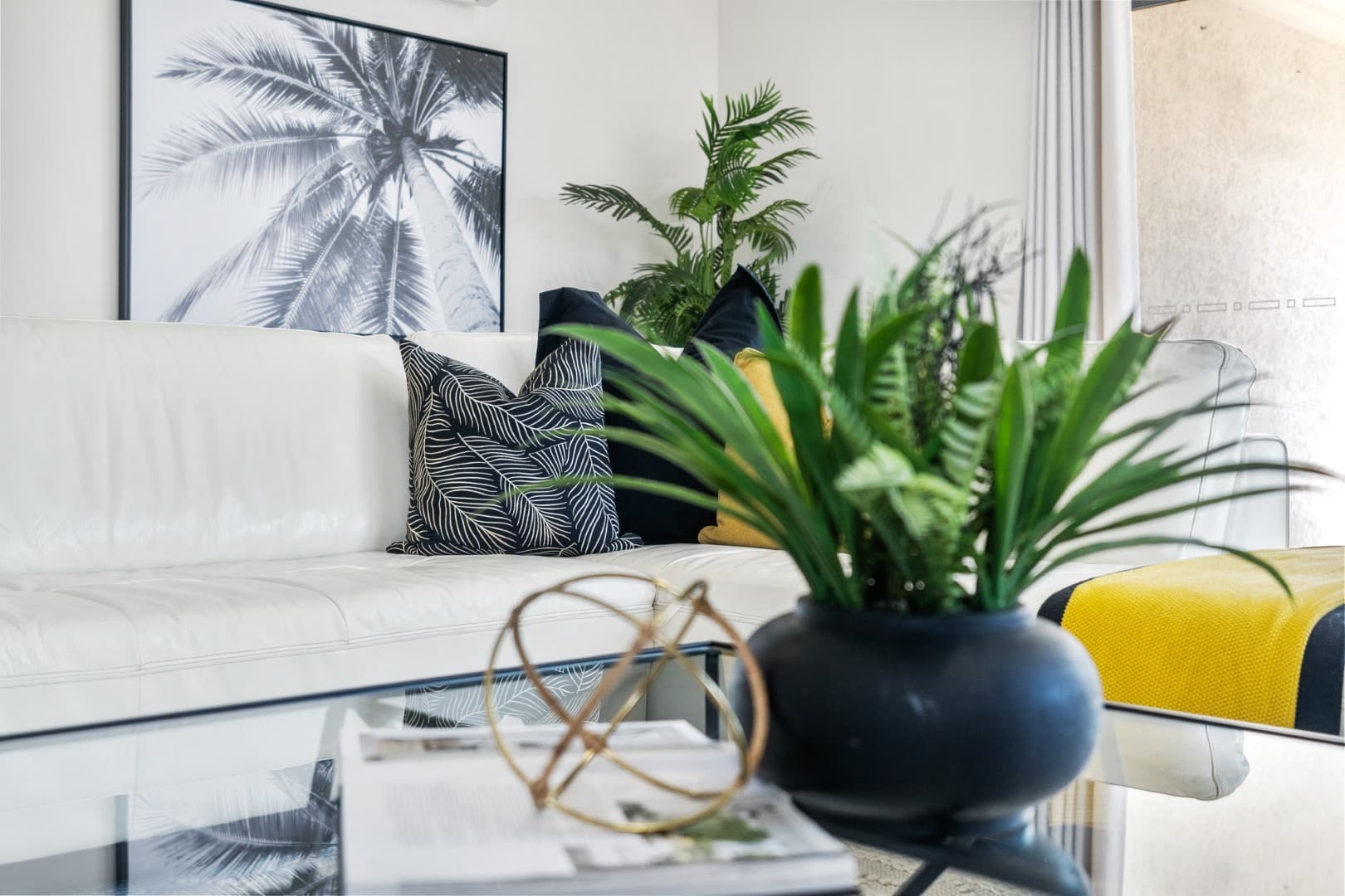 50 City View Crescent, Mooroobool, Mooroobool - Thumbnail 4
