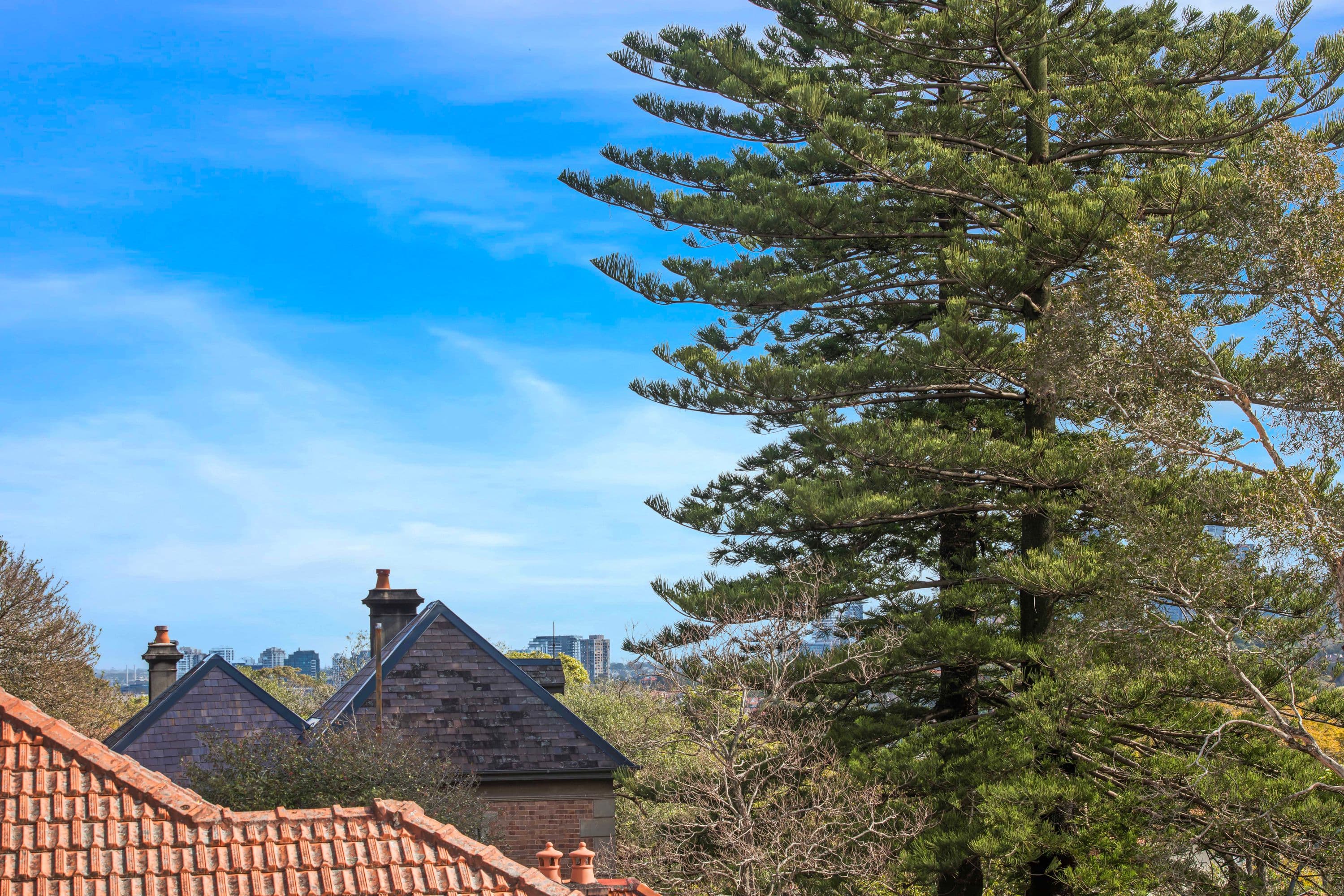 5/113 Shadforth Street, Mosman - Thumbnail 3