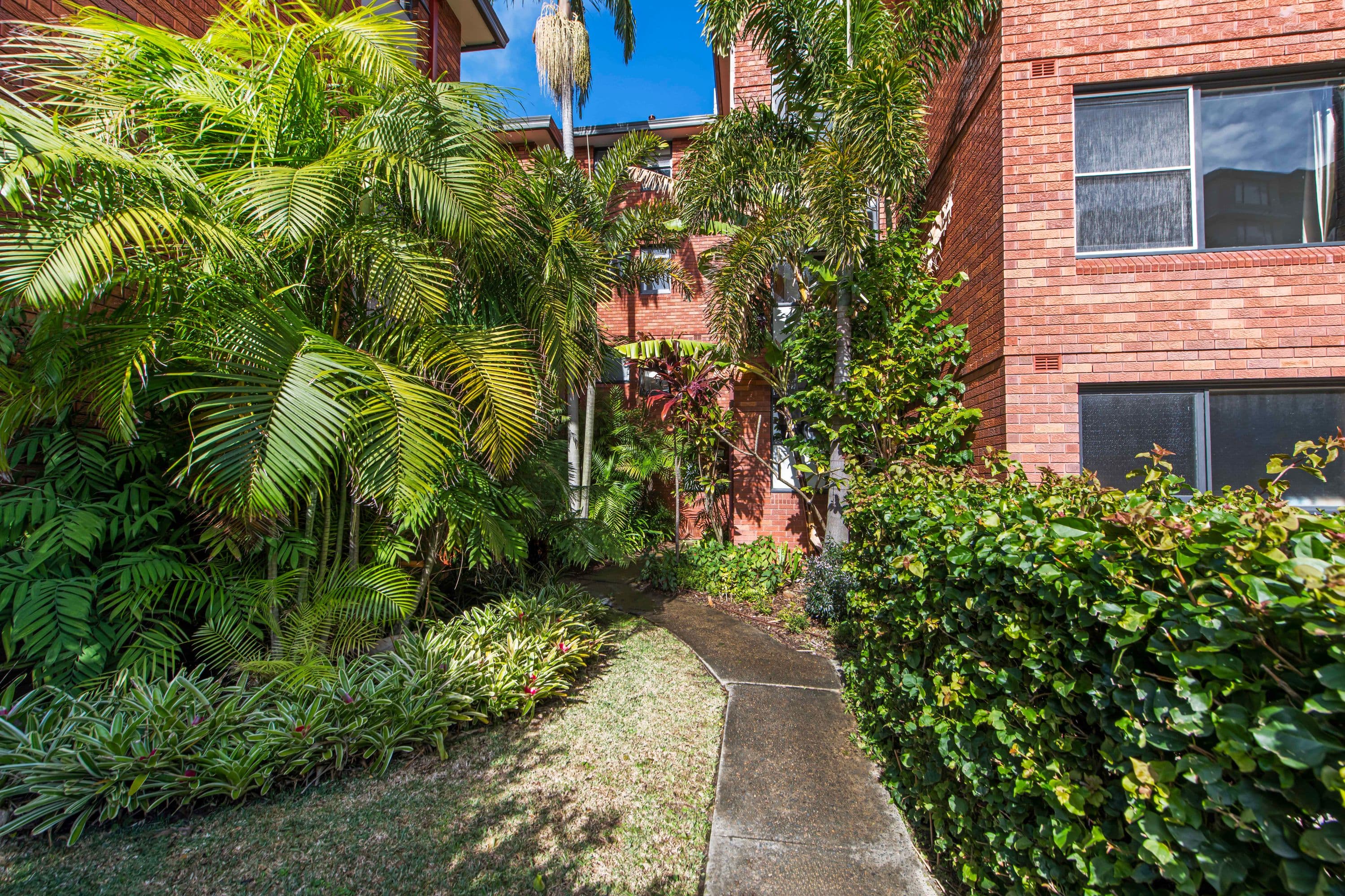 5/113 Shadforth Street, Mosman - Thumbnail 7