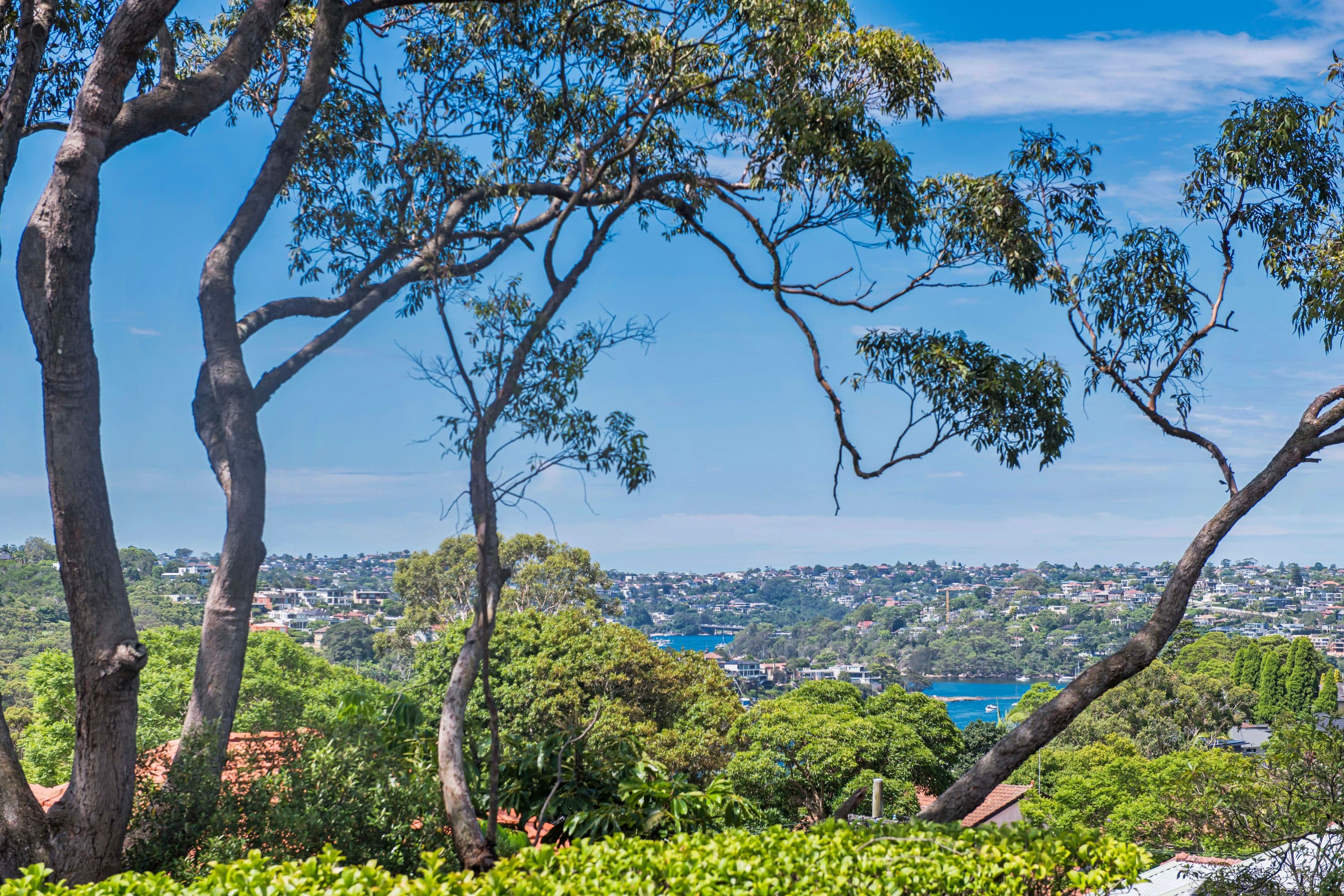 101/63 Carter St, Cammeray - Thumbnail 6