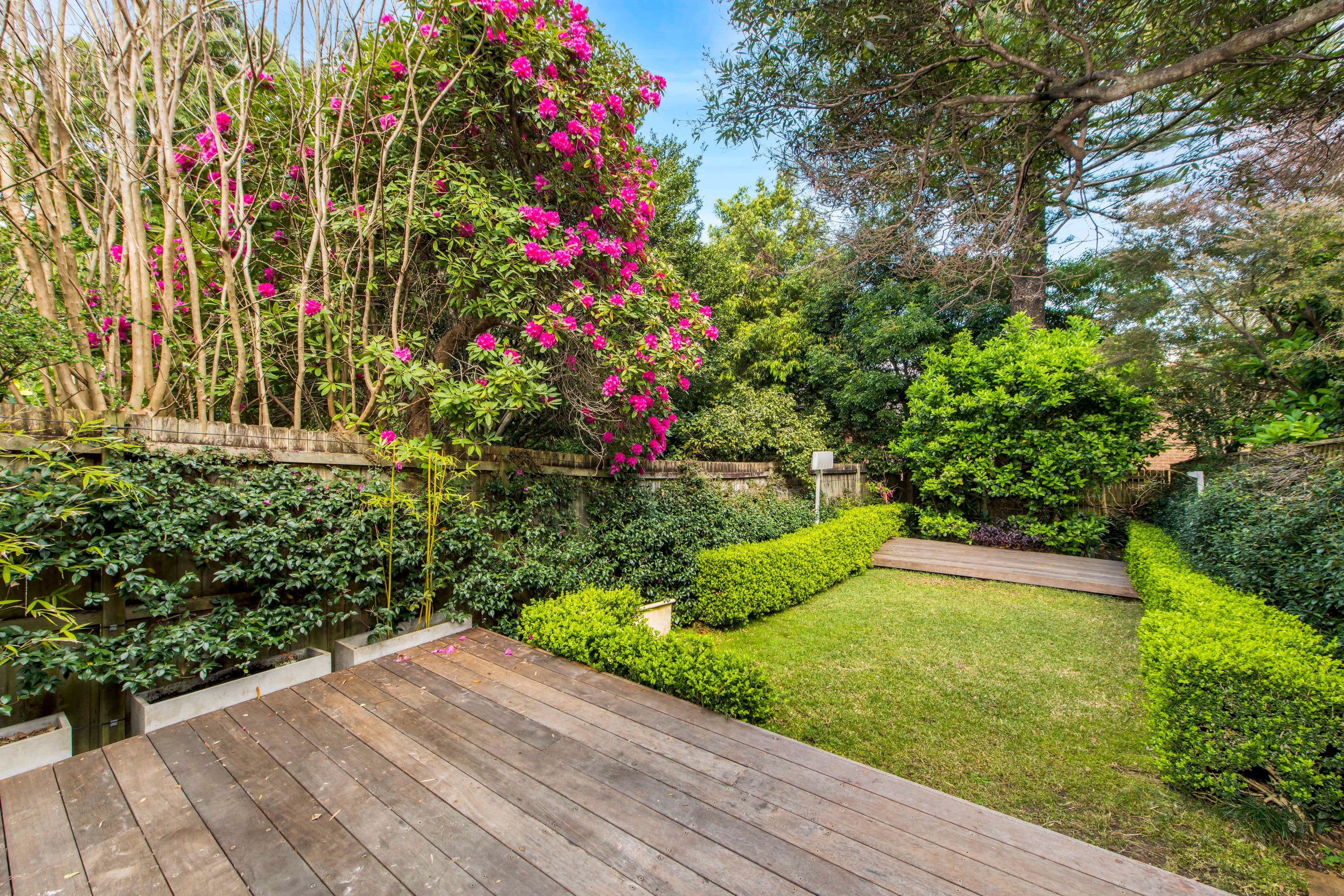 22 Nicholson Street, Wollstonecraft - Thumbnail 3