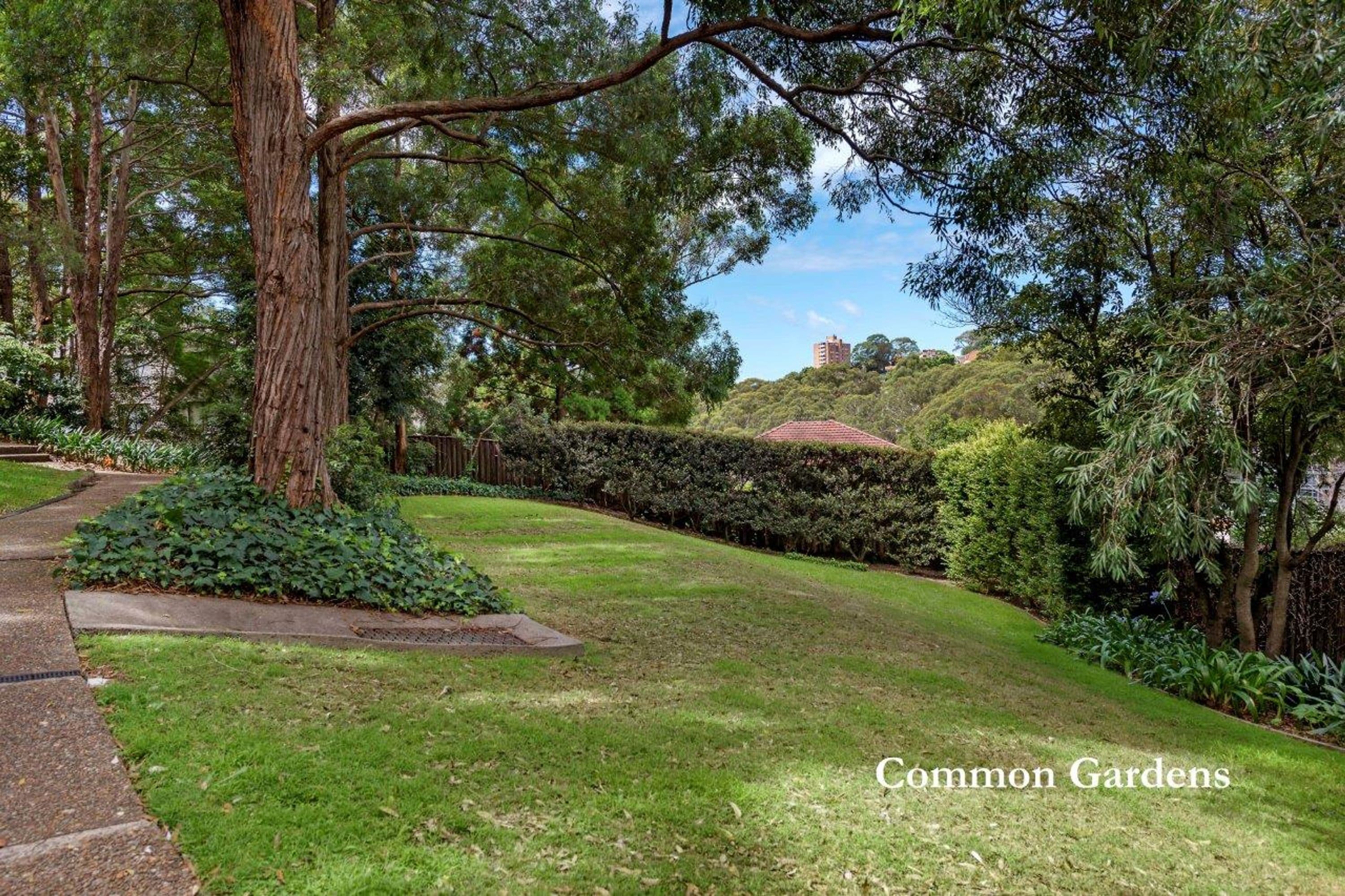 29/25A Marks Street, Naremburn - Thumbnail 5