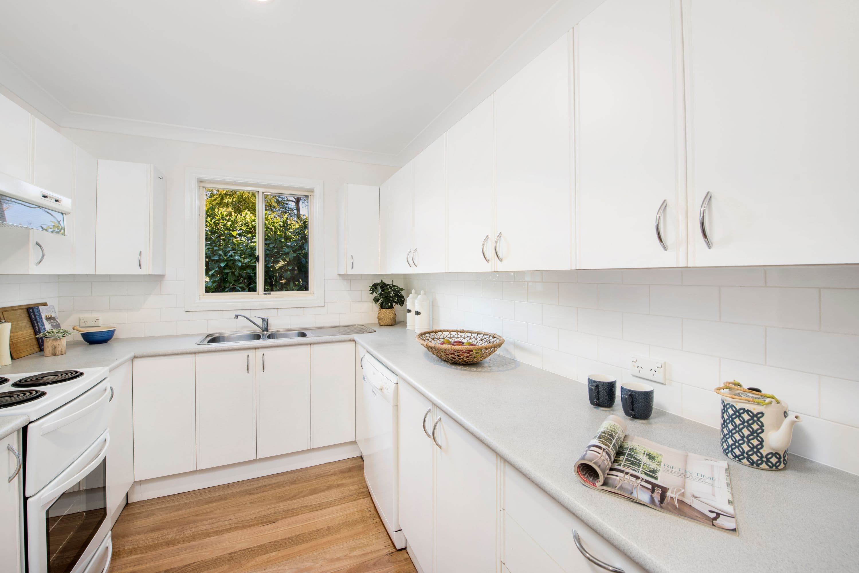 12A Windsor Road, Willoughby - Thumbnail 3