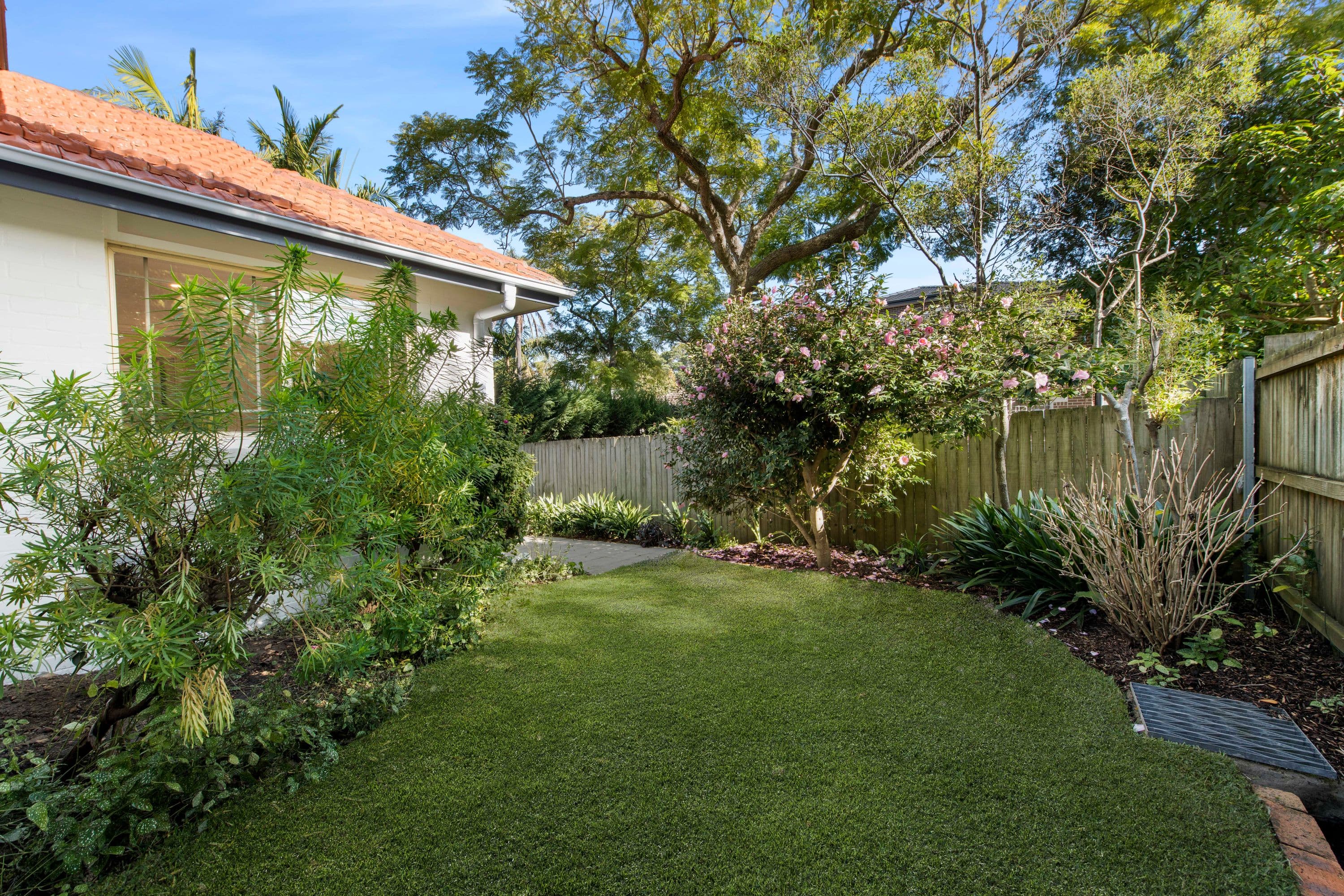 12A Windsor Road, Willoughby - Thumbnail 7