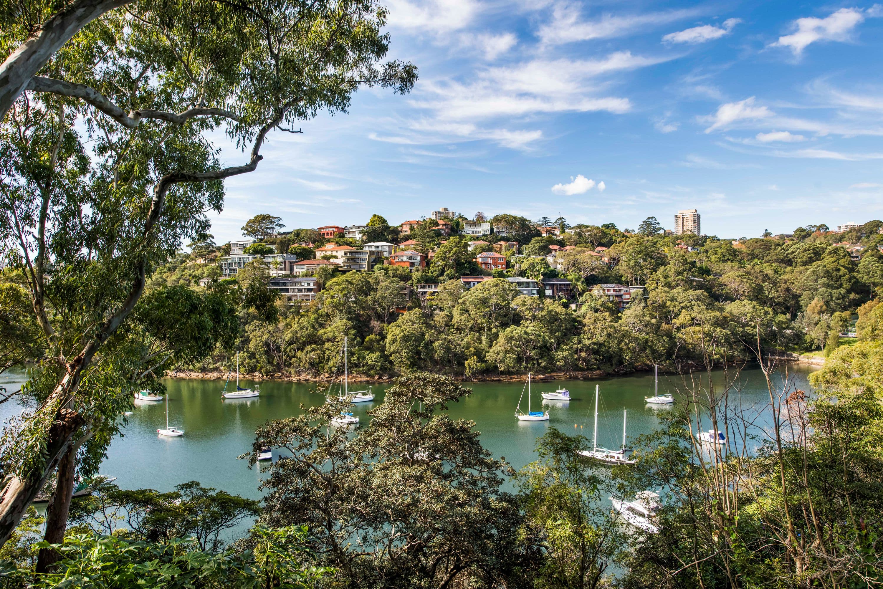 3/38 Churchill Crescent, Cammeray - Thumbnail 8