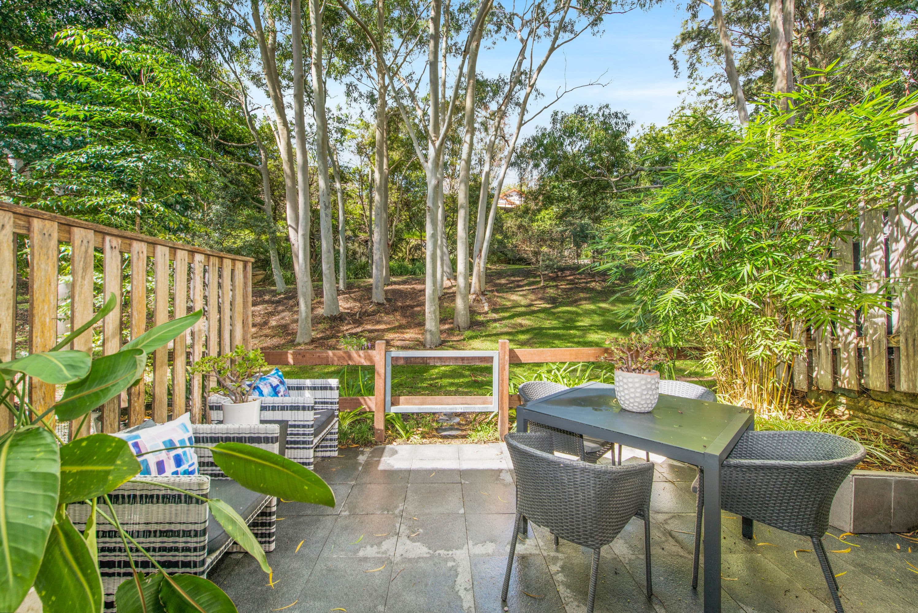 5/24-26 Marks Street, Cammeray - Thumbnail 4