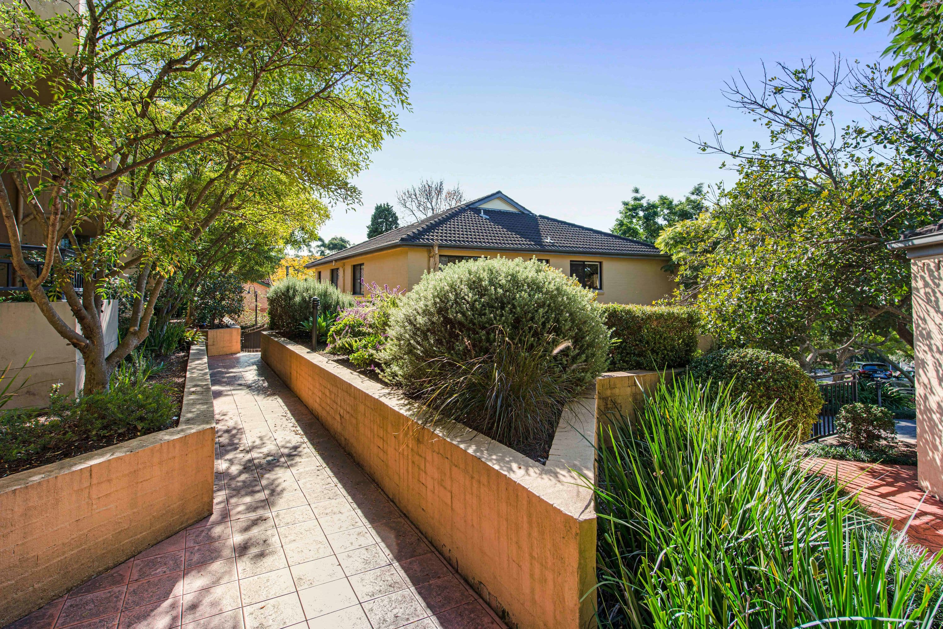 3/34 Station Street, Naremburn - Thumbnail 6