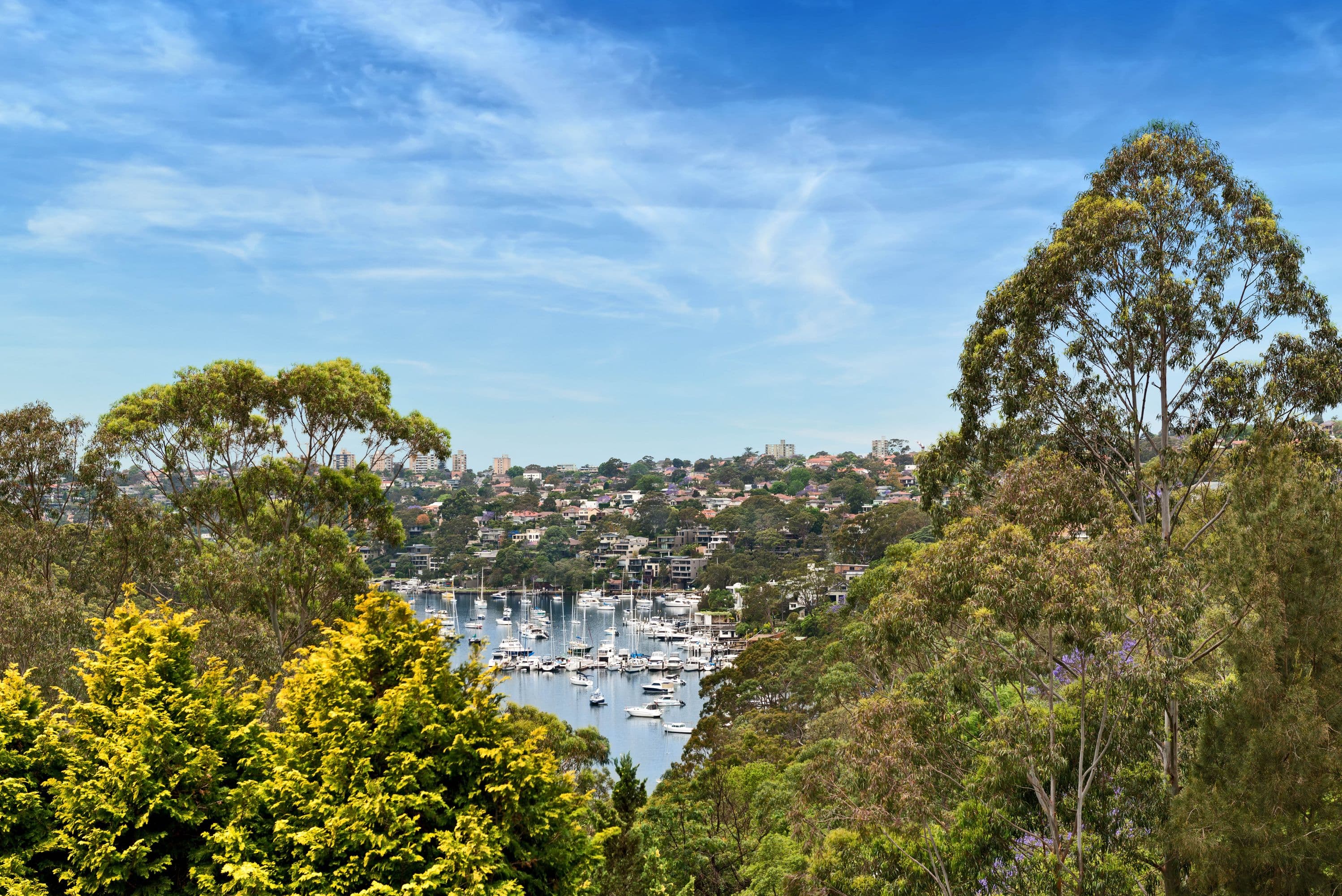 1A Rowlison Parade, Cammeray - Thumbnail 3