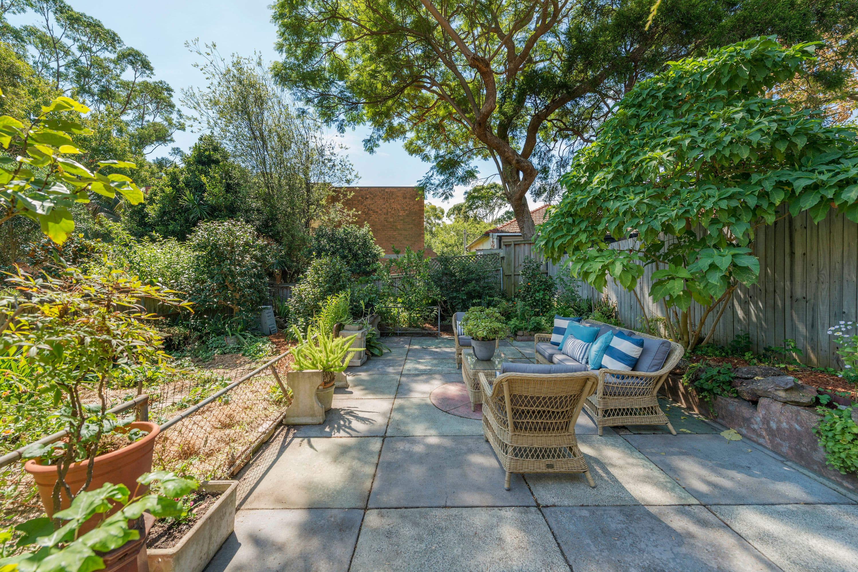 18 Palmer Street, Cammeray - Thumbnail 4
