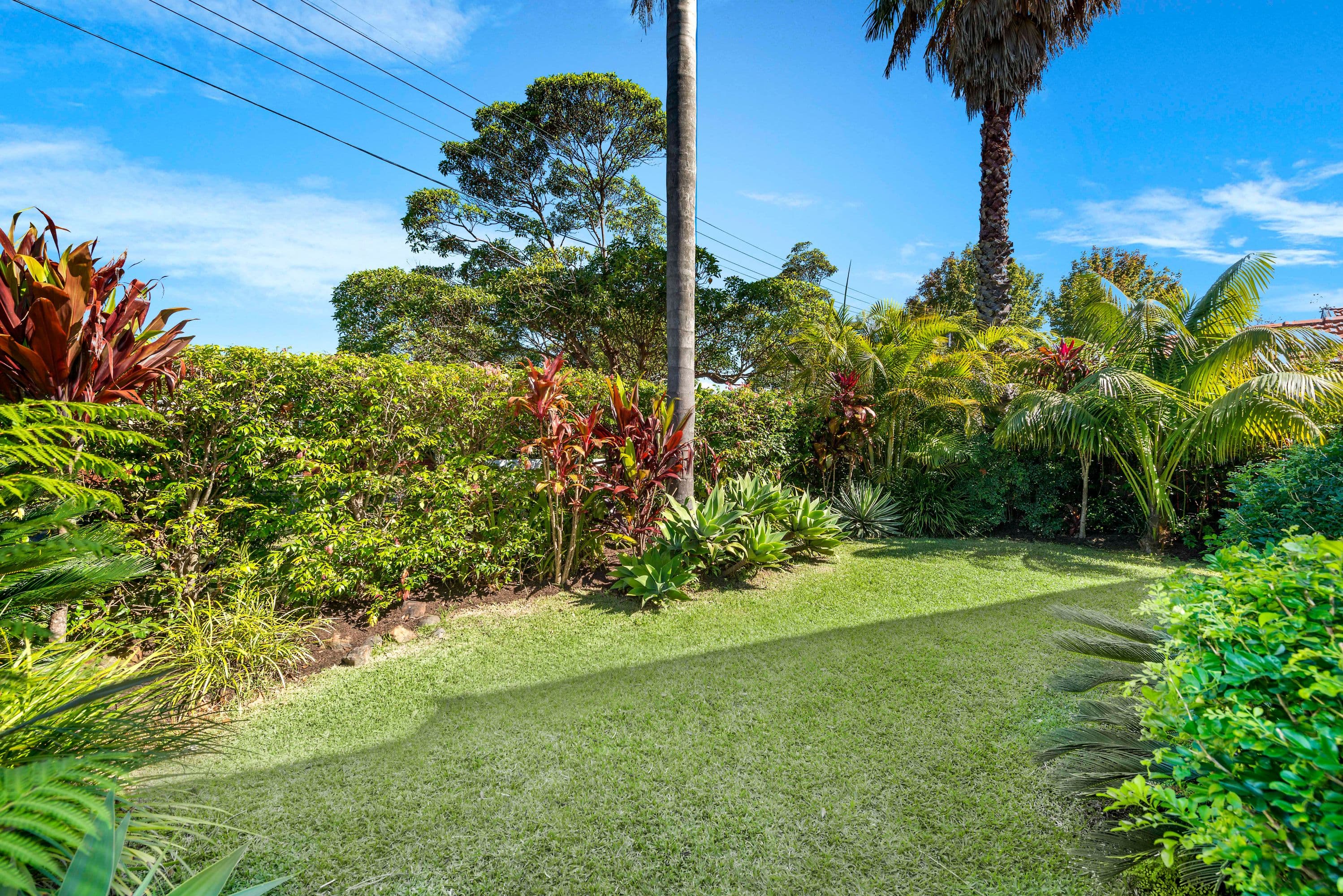 93 Baroona Road, Northbridge - Thumbnail 7