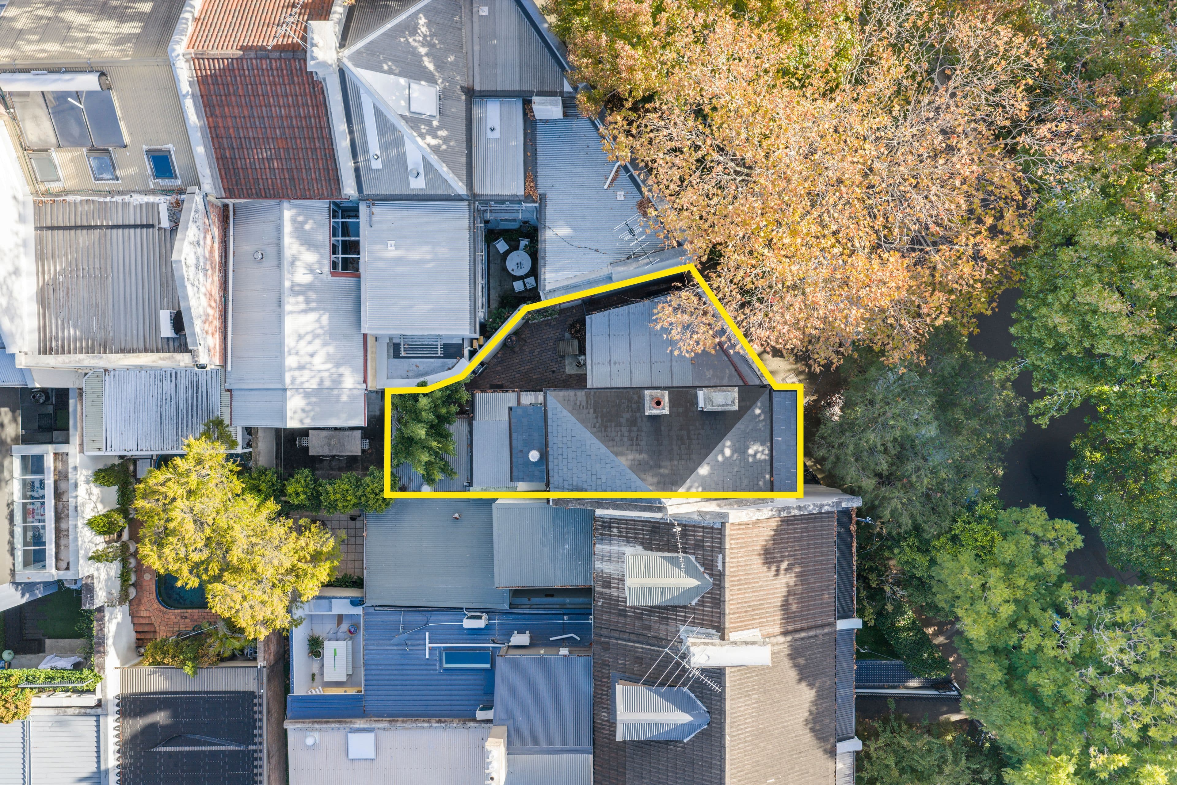 1 Cascade Street, Paddington NSW 2021, Paddington - Thumbnail 3