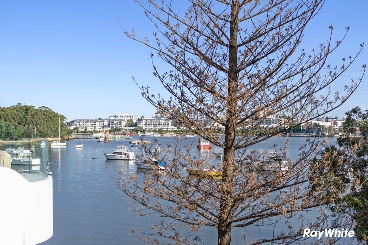 10A Dyson Street, Putney NSW 2112, Putney - Thumbnail 4