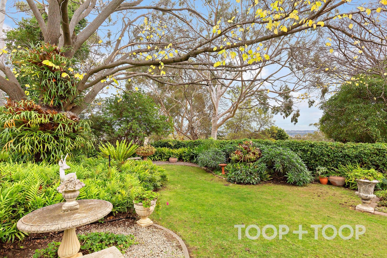 176 Shepherds Hill Road, Bellevue Heights SA 5050, Bellevue Heights - Thumbnail 7