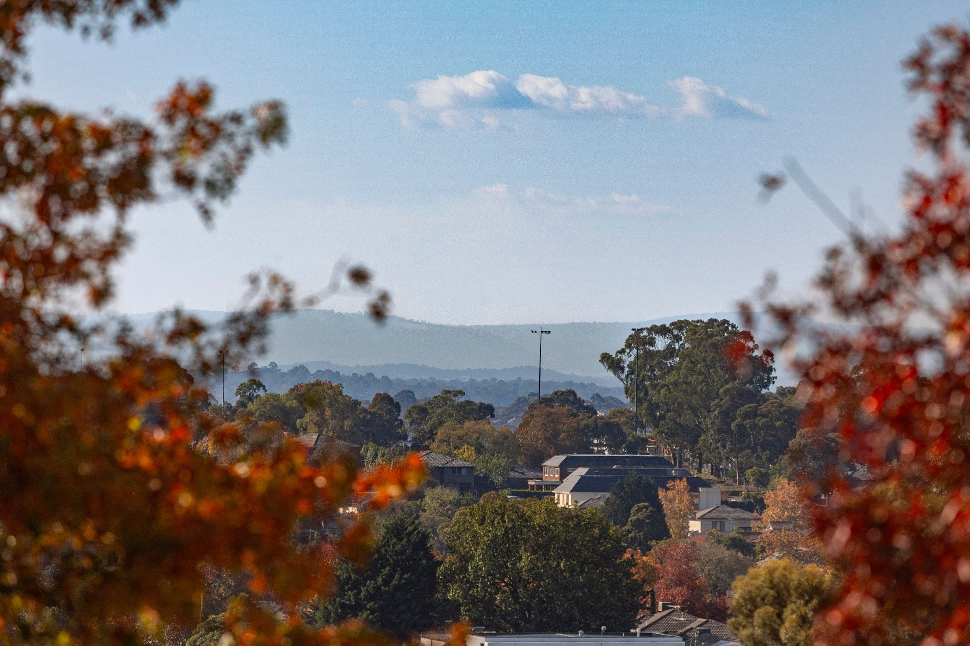 48 Linckens Crescent, Balwyn VIC 3103, Balwyn - Thumbnail 7