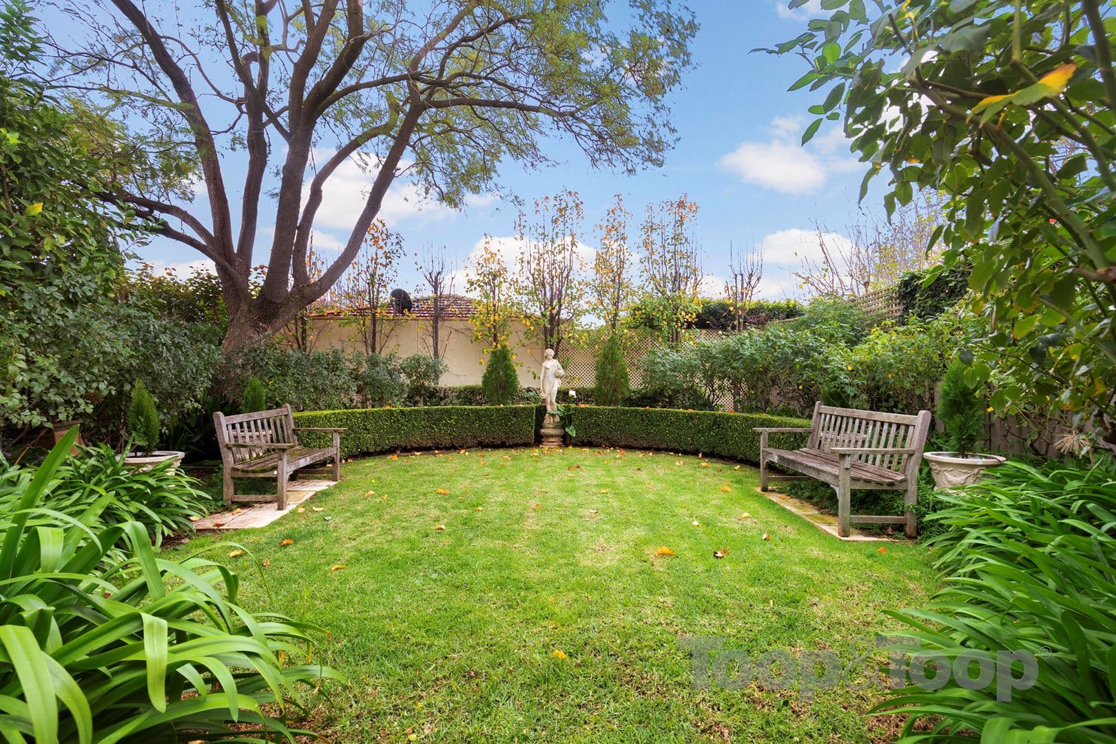 7 Dalaston Avenue, Glenunga SA 5064, Glenunga - Thumbnail 3