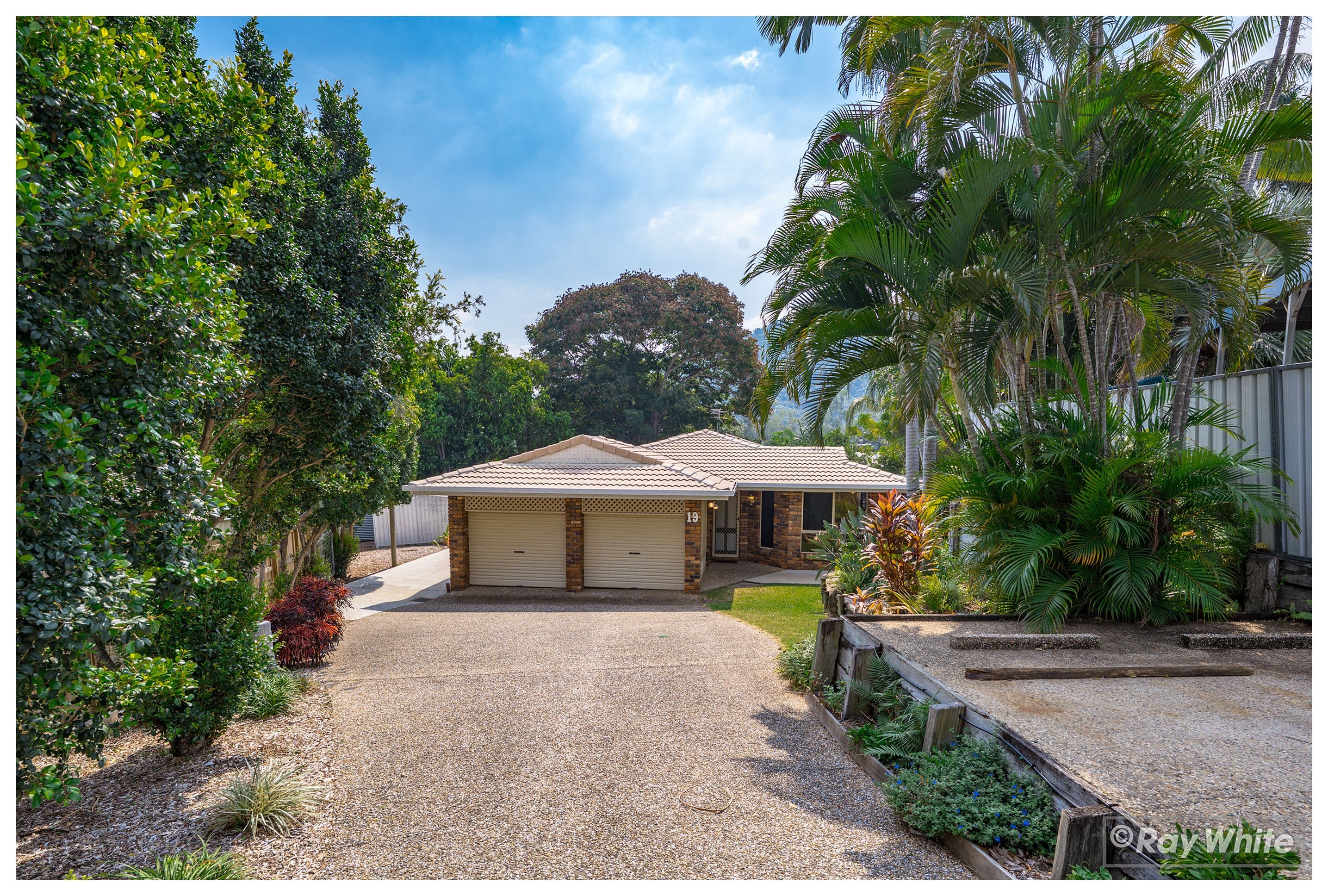 19 Moren Street, Frenchville QLD 4701, Frenchville - Image 1