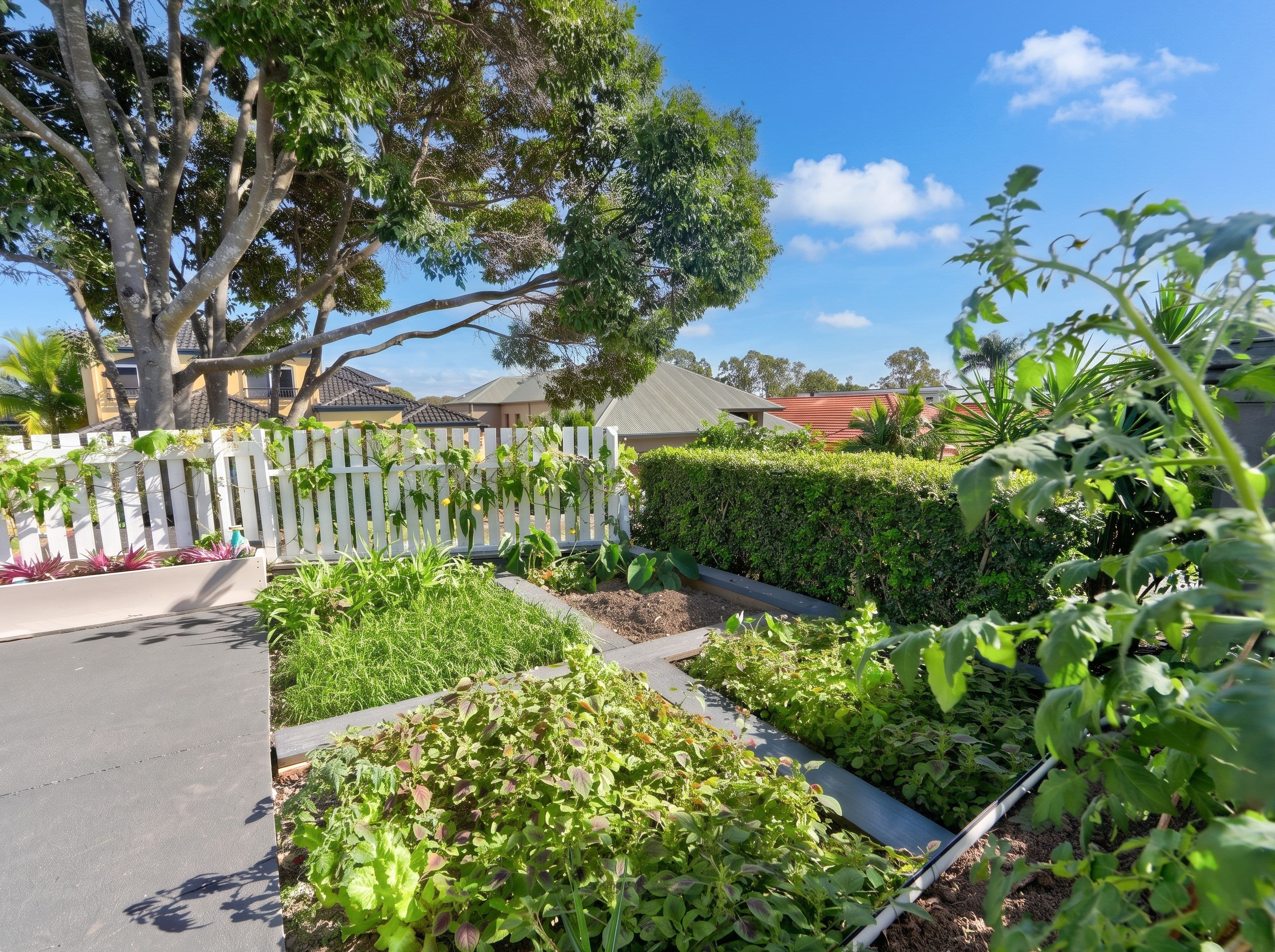 31 Concord Circuit, Robina QLD 4226, Robina - Thumbnail 8