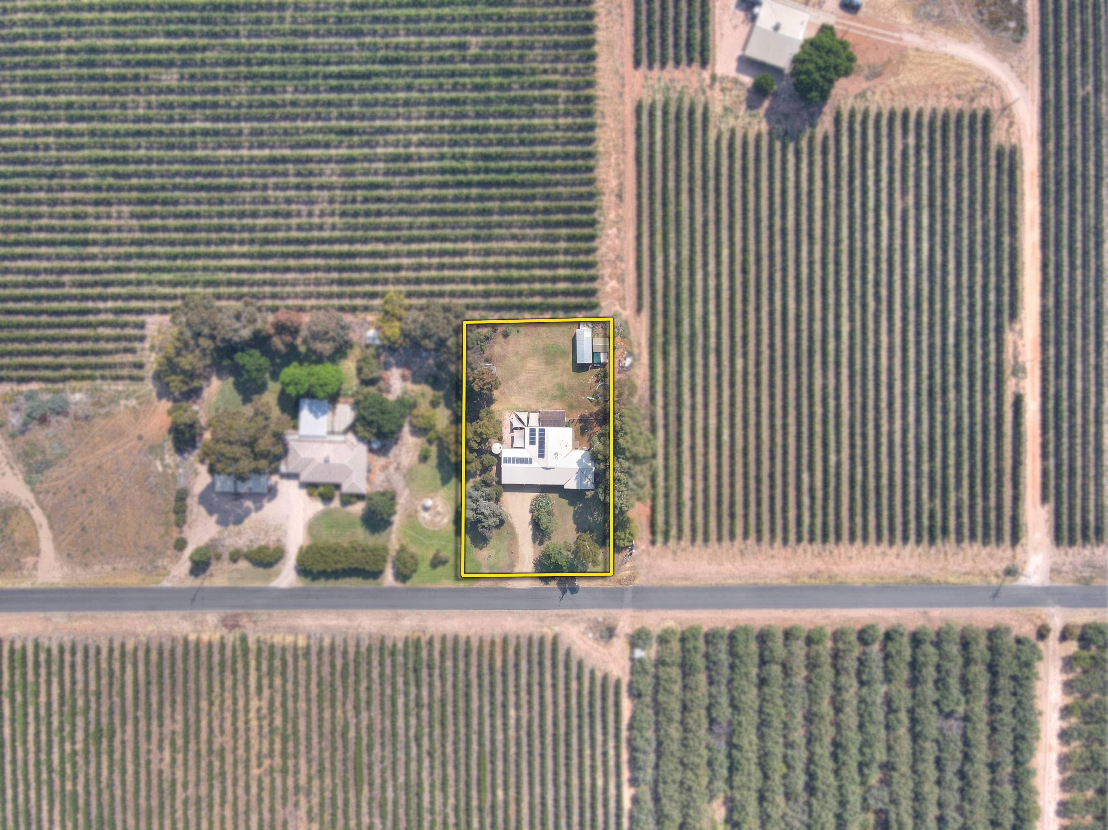 77 Twentyeighth Street, Renmark SA 5341, Renmark South - Thumbnail 3