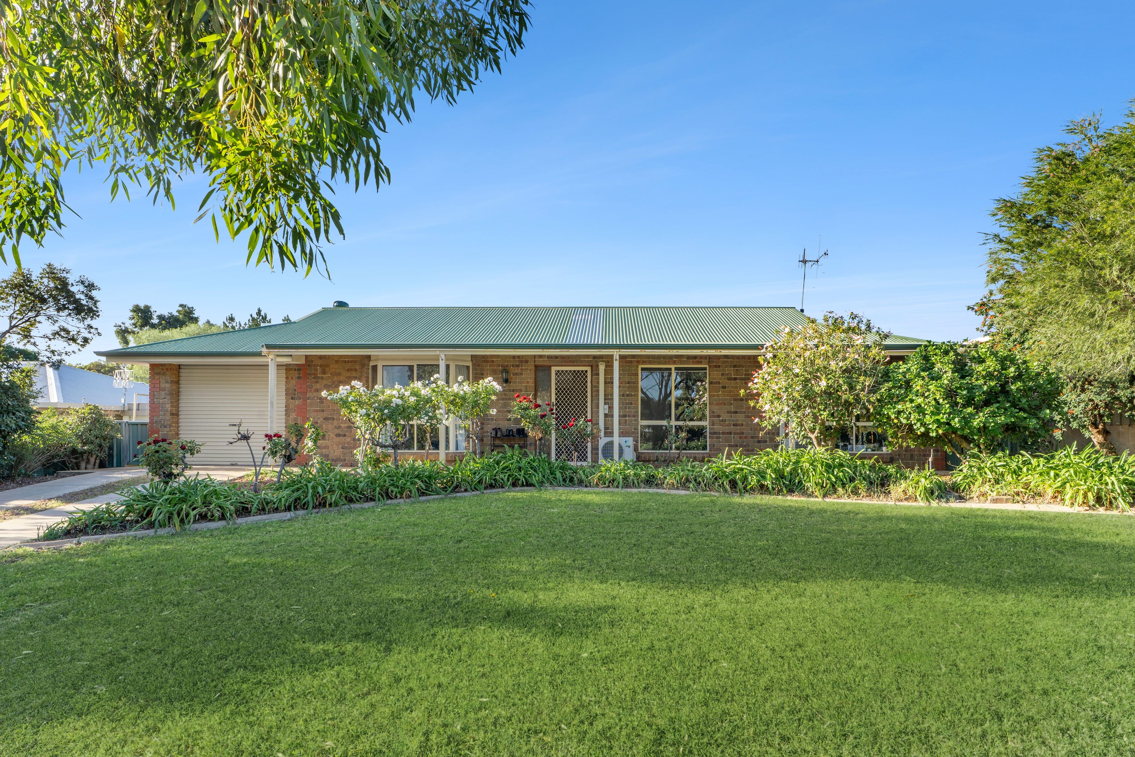 55 Hughes Avenue, Paringa SA 5340, Paringa - Thumbnail 2